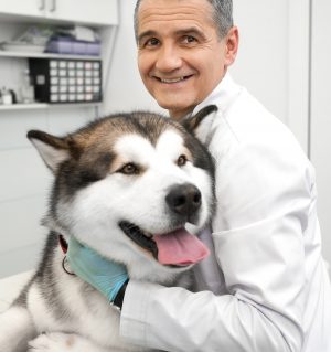 Vet hugging alaskan malamute, smiling, looking at camera